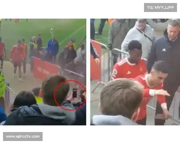 C罗染红前向裁判比哭泣手势，爱尔兰球迷集体模仿回击