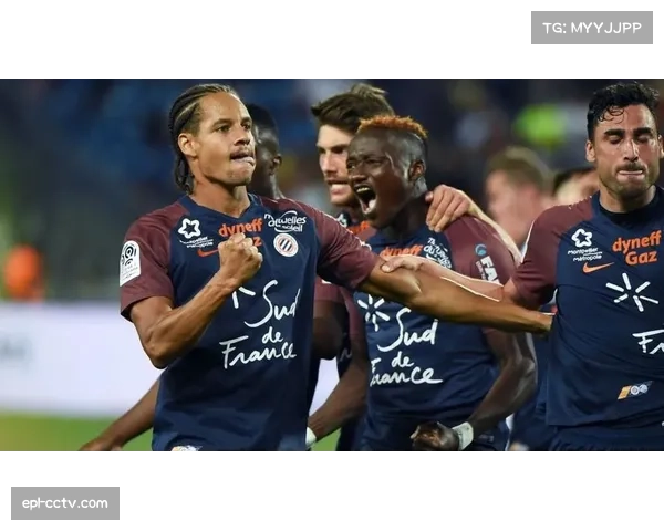 蒙彼利埃1-0绝杀勒阿弗尔，萨瓦尼耶任意球制胜